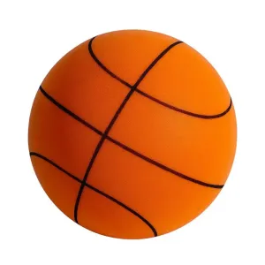 Sneaky Ball - The Handleshh Silent Basketball