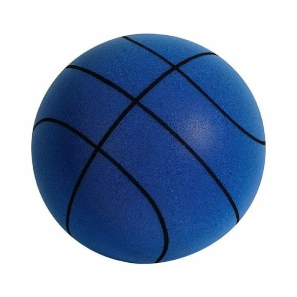 Sneaky Ball - The Handleshh Silent Basketball