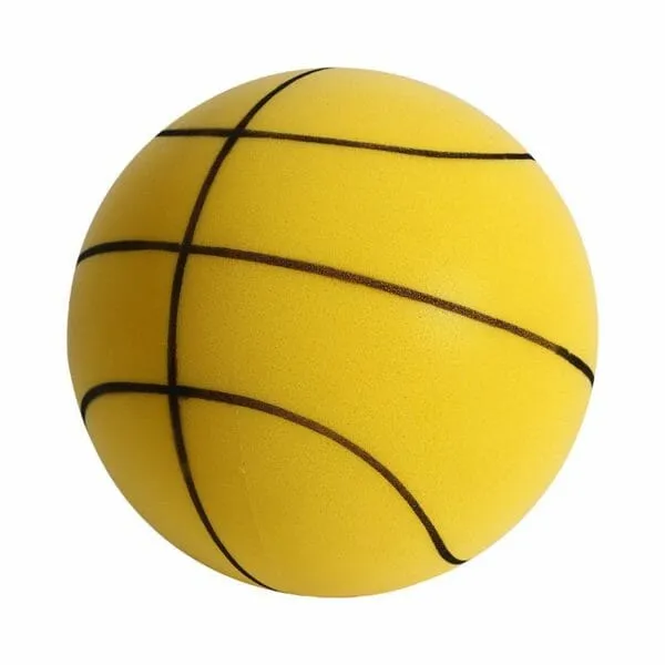 Sneaky Ball - The Handleshh Silent Basketball