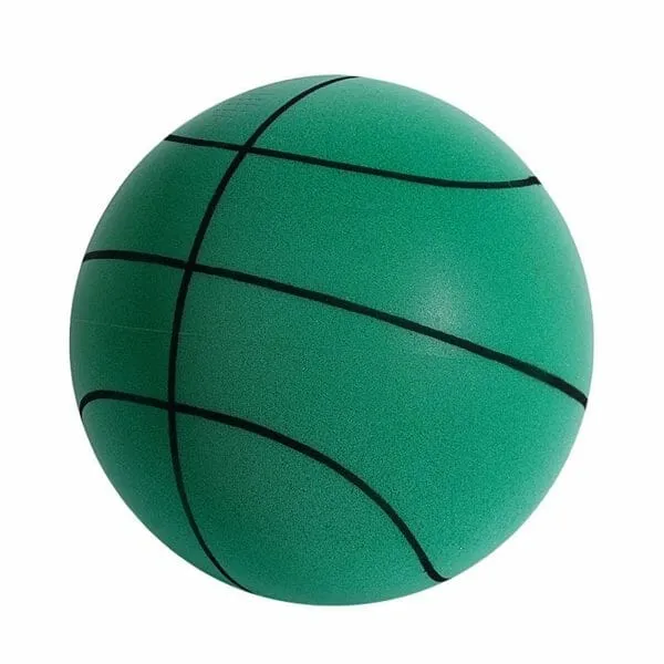 Sneaky Ball - The Handleshh Silent Basketball