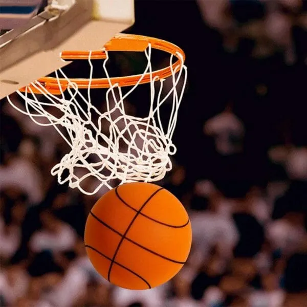 Sneaky Ball - The Handleshh Silent Basketball
