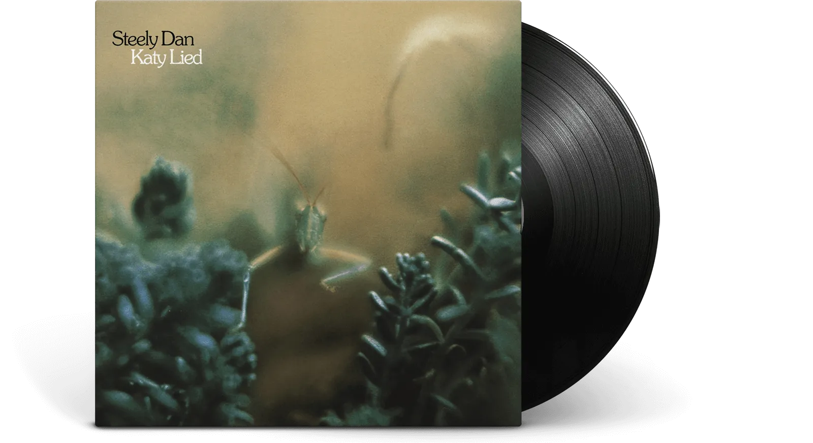 Steely Dan : Katy Lied